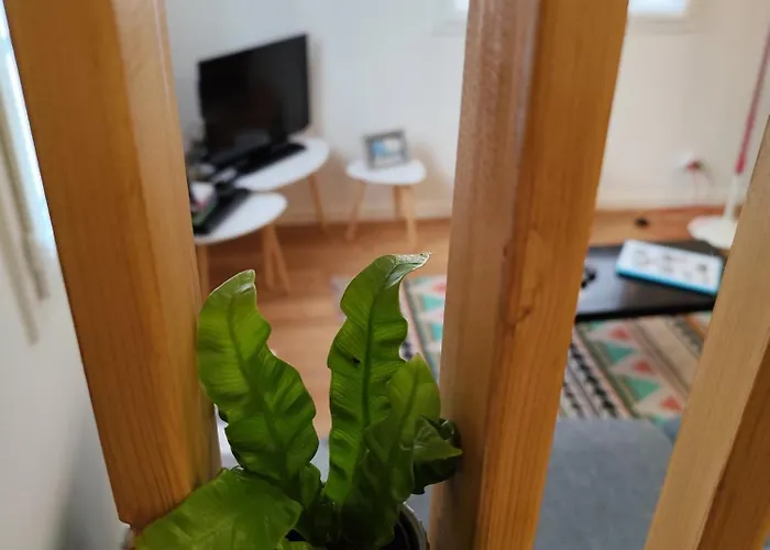 Holiday home Proche Gare Et Centre-ville De Emplacement Ideal Poitiers